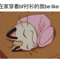 甜甜私房猫