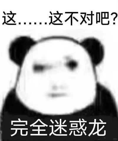 这是一张经过P图改编的黑白静态图文混排表情包，属于中文互联网流行的熊猫头表情系列。图中主体是熊猫头部拼接了人类模糊的疑惑面部，上方配文“这……这不对吧？”，下方配文“完全迷惑龙”，其中“完全迷惑龙”是谐音梗，将“迷惑”谐音为恐龙的种类“迷惑龙”，以此强化表达对某件事感到无法理解、十分疑惑的情绪，适合在社交沟通中用来传递自己的不解与困惑。