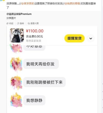图片展示了一个网购订单详情与聊天记录的拼接截图。上方是订单信息，显示商品价格为¥1100.00，含运费0.00元，状态为“等待卖家发货”，并有一个黄色的“提醒发货”按钮。下方是与卖家的聊天记录，卖家连续发送三条消息：“我明天再给你发”“我刚刚跳楼被拦下来”“我想静静”，以极端理由拖延发货。顶部还有其他用户的评论互动，如“这要是跳了那谁给你发货”“买到真地震装了”，整体场景用于吐槽卖家荒诞的拖延借口。