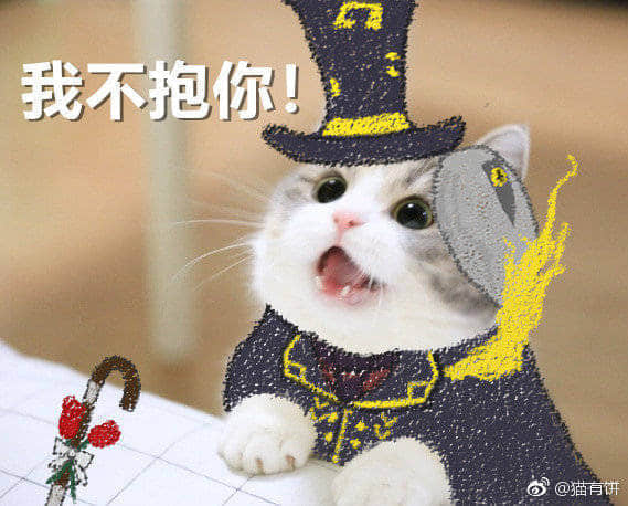 戴礼帽的猫咪说“我不抱你！”