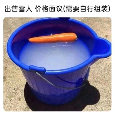 这是一张无厘头搞笑的整活图，画面里是一只装着融化雪水的蓝色塑料桶，水面上漂浮着一根胡萝卜，搭配上方文字“出售雪人 价格面议(需要自行组装)”。
玩的是脑洞梗：把已经融化成水的雪和雪人的标志性鼻子胡萝卜，当成“雪人组件”来售卖，让买家自行“组装”出雪人，用完全无法实现的要求制造荒诞的笑点。