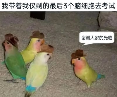 图片上方配有文字“我带着我仅剩的最后3个脑细胞去考试”，下方是四只色彩鲜艳的小鸟（绿色、黄色、白色、黄粉色），每只都戴着一顶小巧的棕色帽子，站在灰色的地毯上。其中一只小鸟的旁边有一个白色对话框，里面写着“谢谢大家的光临”。整体通过将小鸟拟人化为“仅剩的3个脑细胞”，用可爱的形象和幽默的文字结合，表达考试前复习不足、脑力匮乏的自嘲情绪。