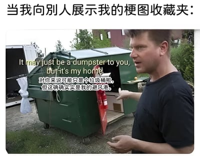 图片上方有文字“当我向别人展示我的梗图收藏夹：”，下方是一名男子站在绿色垃圾桶旁，右手伸出指向垃圾桶，表情认真。垃圾桶内隐约可见物品，侧面挂着白色布料。图片中央叠加黄色英文文本“It may just be a dumpster to you, but it's my home”及白色中文翻译“对你来说可能只是个垃圾桶啦，但这确确实实是我的避风港。”。通过将个人珍视的梗图收藏夹比作他人眼中的“垃圾桶”与自己心中的“避风港”，形成鲜明对比，幽默展现了小众爱好在不同人眼中的差异。