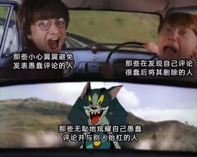 这张梗图采用上下拼接的形式，用三个不同的影视、动画角色画面，精准对应网络评论区的三类典型用户：
1. 上图左侧是《哈利·波特与密室》中哈利·波特在飞车上惊恐大喊的画面，对应“小心翼翼避免发表愚蠢评论的人”；
2. 上图右侧是同一场景里罗恩握方向盘大喊的画面，对应“发现自己评论很蠢后将其删除的人”；
3. 下图是《猫和老鼠》里汤姆猫抓狂狰狞的画面，对应“无耻地炫耀自己愚蠢评论并与别人抬杠的人”。
通过角色夸张的表情与状态，生动调侃了网络评论区的各类用户行为，充满搞笑效果。