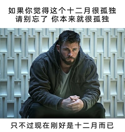 图片上方有两行文字：'如果你觉得这个十二月很孤独 请别忘了 你本来就很孤独'，下方是一张克里斯·海姆斯沃斯的照片，他穿着深色外套，双手交叠放在膝盖上，表情严肃地坐在有几何图案的墙前。照片下方还有一行文字：'只不过现在刚好是十二月而已'。这张梗图通过将明星的严肃形象与自嘲式的文字结合，以幽默的方式表达了关于孤独的主题。