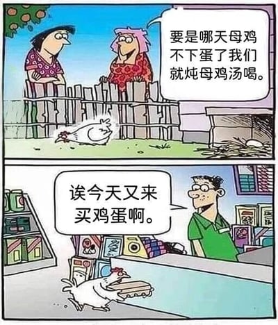 这是一幅两格连环漫画。上格中，两位女性站在栅栏旁聊天，其中穿红衣的女性说：'要是哪天母鸡不下蛋了我们就炖母鸡汤喝。' 栅栏内的母鸡听到后惊恐地逃跑。下格场景切换到商店，逃跑的母鸡正拿着鸡蛋盒走向柜台，店员笑着打招呼：'诶今天又来买鸡蛋啊。' 漫画通过母鸡主动买鸡蛋避免被炖汤的情节制造幽默效果，展现了动物的'机智'。