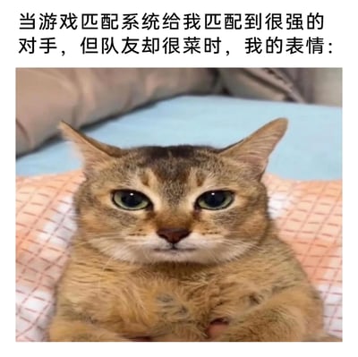 这是一张图文结合的表情包，上方配文描述了玩家在游戏中遇到的糟心场景：匹配到实力强劲的对手，可自己的队友却实力拉胯。下方的猫咪眉头微蹙、双眼半睁，前爪交叉抱在胸前，表情憋屈又无奈，完美还原了玩家此时郁闷、无力吐槽的心情，非常贴切地表达了游戏玩家遇到不公平匹配时的负面情绪，容易引发同类玩家的共鸣。