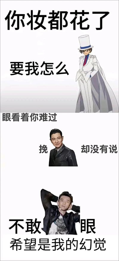 这是一张趣味改编的谐音梗表情包，核心内容改编自刘德华经典歌曲《冰雨》的歌词，通过将歌词中的关键字词替换为谐音的人物形象来制造笑点：用动漫《名侦探柯南》中的怪盗基德对应“要我怎么看”里的“看”（“盗”谐音“看”），用艺人刘德华的头像对应“我却没有说”里的“我”（图中用“挽”谐音“我”），用艺人郑恺的头像对应“不敢看眼”里的“看”（“恺”谐音“看”），重新组合成“你妆都花了 要我怎么（盗）眼看着你难过 挽（华）却没有说 不敢（恺）眼 希望是我的幻觉”的内容，将动漫角色与真人明星结合，以图文混排的P图形式呈现，适合在社交场景中用于调侃、表达无奈情绪。