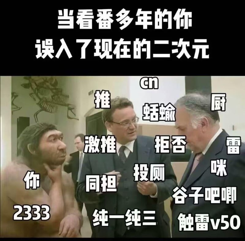 真实人物（梗图模板）