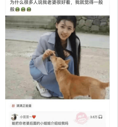 这是一张带有幽默双关的网络梗图，内容是一位女生和一只狗的合影，配文是“为什么很多人说我老婆很好看，我就觉得一般一般🤢🤢🤢”，下面一条评论调侃“能把你老婆后面的小姐姐介绍给我吗”，实际上图中只有女生和狗。评论暗示‘老婆’是狗，而女生才是“后面的小姐姐”，形成搞笑和戏谑效果，并伴有一点自嘲和反转梗。整体气氛轻松幽默，适合转发用来调侃朋友或自黑。双关点在于“老婆”本应指女生，但评论借机玩梗称女生是“后面的小姐姐”。