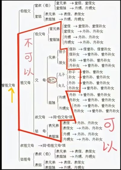 这是一张用于科普婚姻亲属禁忌的图文图谱，以「自己」为核心，梳理了从曾祖父母到孙辈的完整亲属关系分支。图中用红色框标注出**不可以**结婚的亲属范围，即法律规定的三代以内直系血亲和旁系血亲；右侧标注出**可以**结婚的亲属范围（超出三代的旁系亲属）。通过清晰的分支箭头，直观展示了各代亲属的称谓及亲等关系，帮助观者快速理解婚姻禁忌的亲属边界，属于知识科普类自制图文。