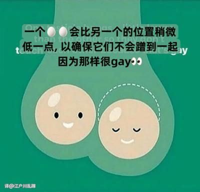 这是一张幽默风格的卡通插画，描绘了两个带有可爱表情的睾丸形象。左侧睾丸睁着眼睛微笑，右侧睾丸闭着眼睛微笑，右侧睾丸周围有虚线表示其位置略低。图片上方配有文字解释："一个🥚🥚会比另一个的位置稍微低一点,以确保它们不会蹭到一起因为那样很gay👀👀"，用拟人化和夸张的方式解释睾丸的生理位置特征，制造幽默效果。