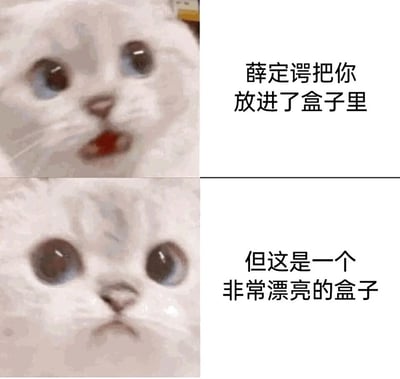这是一张上下拼接的图文混排搞笑梗图，采用了网络热门的委屈猫猫头表情包作为视觉素材。上半部分的猫咪嘴巴微张，眼神带着惊讶感，配文“薛定谔把你放进了盒子里”，借用量子物理经典思想实验“薛定谔的猫”的设定制造出带有悬念的氛围；下半部分的猫咪眉头微皱，眼神更显委屈，配文“但这是一个非常漂亮的盒子”，通过完全偏离原实验核心的无厘头转折，消解了原设定里生死未知的严肃感，用“漂亮盒子”这个无关紧要的细节制造反差，形成搞笑效果，将原本带有压迫感的设定转化为可爱又无厘头的调侃内容。