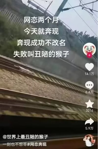 这是一张来自抖音平台的社交媒体截图，画面主体是从交通工具车窗向外拍摄的铁轨场景，画面上方叠加了白色文字：“网恋两个月 今天就奔现 奔现成功不改名 失败叫丑陋的猴子”，这是发布者在奔现前立下的承诺。截图右下角是抖音的互动功能区，显示该内容获得14.1万点赞、8.4万评论、3216次收藏、5.9万次转发。截图左下角标注了发布者的昵称“@世界上最丑陋的猴子”，底部配文“一刻也不想等#网恋奔现”。结合发布者的昵称可以看出，该用户的网恋奔现最终以失败告终，并且兑现了自己之前的承诺，将昵称改成了约定的“丑陋的猴子”，用自嘲的方式记录了这次奔现经历，容易引发有类似情感经历的网友共鸣。