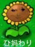 植物大战僵尸