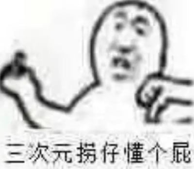 这是一张手绘线稿风格的吐槽类表情包，图中是一个表情激动、双手做出不满手势的人物形象，下方配文“三次元捞仔懂个屁”，表达了ACG爱好者对不了解二次元文化的三次元人士的不屑与吐槽情绪，语言带有网络调侃风格，无谐音梗或双关含义。
