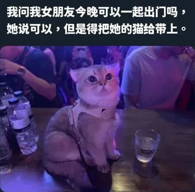 图片上方文字描述了一个幽默场景：男生询问女朋友能否一起出门，对方同意但要求带上她的猫。下方图片展示了一只戴着牵引绳的猫咪坐在酒吧的桌子上，周围有模糊的人群、几瓶矿泉水和一个玻璃杯，环境灯光呈紫色调，猫咪睁着大眼睛抬头看向上方，表情呆萌可爱，形成了“带猫约会”的有趣画面。