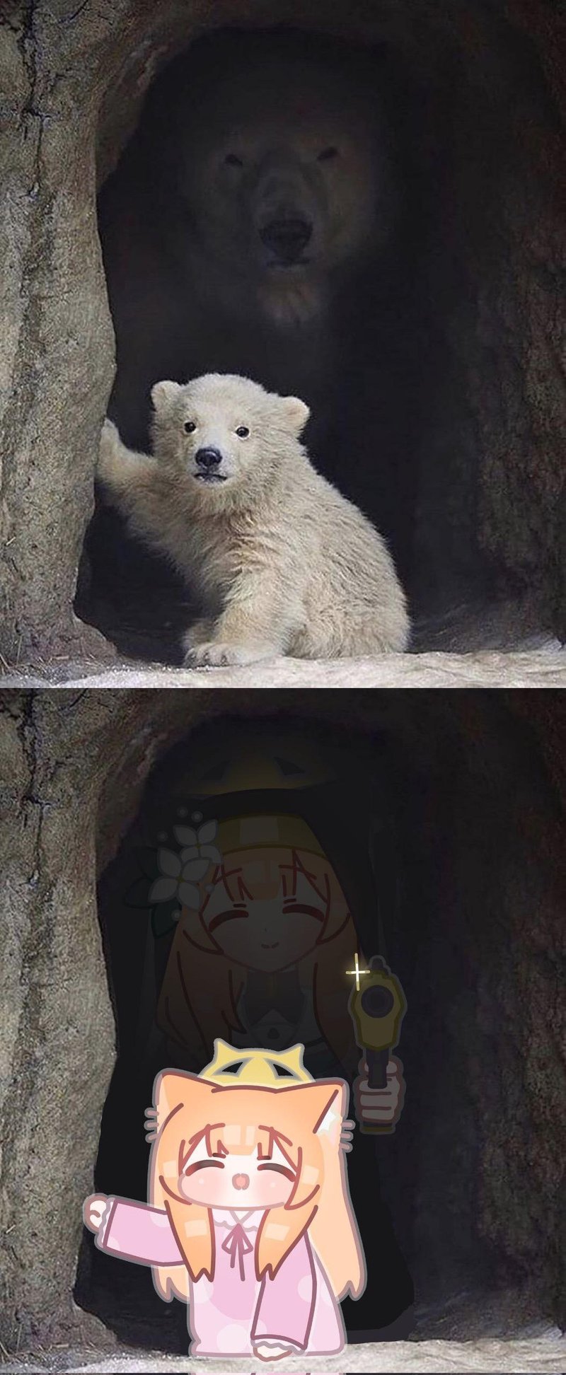 北极熊幼崽