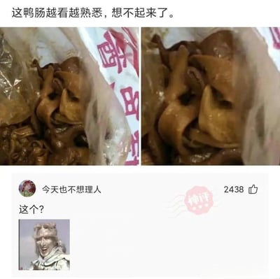 这张梗图内容为一段网友分享的鸭肠图片配文“这鸭肠越看越熟悉，想不起来了”，并附带两张外观模糊但疑似鸭肠的近拍图片。下方有一位网友评论“这个？”并配上一张模糊的人物雕像照片，调侃鸭肠外观与雕像相似，形成强烈的视觉对比和幽默效果。氛围偏恶搞和无厘头，属于典型的“看图联想”类网络神评。图片有强烈的视觉双关暗示，即食物和其他物体外观的对比引发联想。
