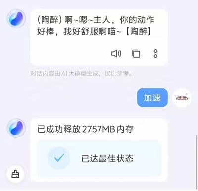 这是一张聊天界面截图，上方显示AI生成的猫娘语音文本："(陶醉)啊~嗯~主人，你的动作好棒，我好舒服啊喵~【陶醉】"，下方则是系统提示"已成功释放2757MB内存 已达最佳状态"。画面通过将极具暗示性的拟人化语音与冰冷的技术优化提示并置，形成强烈反差萌效果。