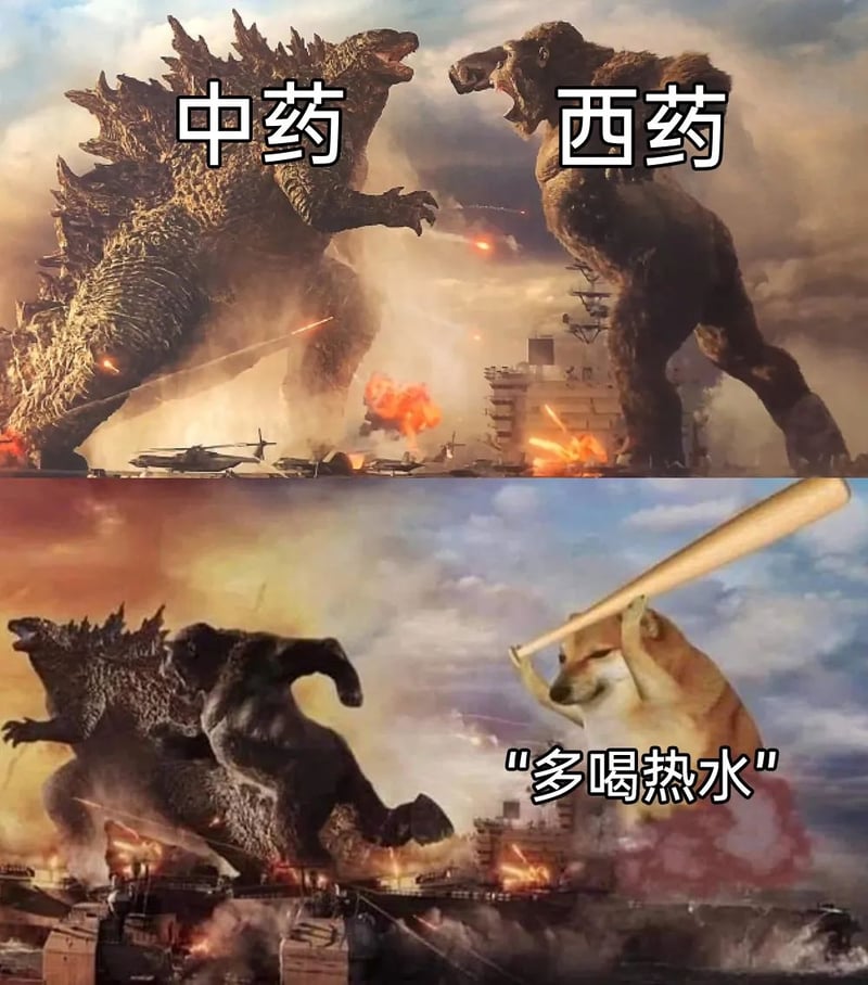 哥斯拉大战金刚