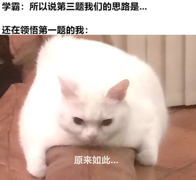 这张梗图通过上下对比的方式，上方文字显示学霸已经在讲解第三题的思路，而下方配图是一只表情困惑的白猫，配文'还在领悟第一题的我：原来如此...'，幽默地表现了学渣跟不上学霸思路的无奈与自嘲。