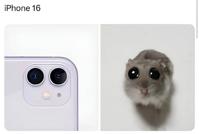 这张图片幽默地将iPhone 16的大摄像头镜头与一只眼睛同样又大又圆的啮齿动物进行对比。左侧展示了iPhone 16摄像头模块的特写，带有两个突出的圆形镜头，而右侧则是一只小型啮齿动物，它有着超大的圆眼睛，与摄像头镜头惊人地相似。这种对比形成了一个关于智能手机上日益增大的摄像头模块的幽默视觉双关。
