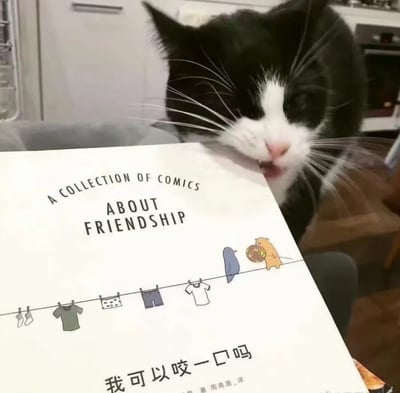 这是一张原始拍摄的静态图，画面主体是一只黑白相间的猫咪，它正张嘴咬着一本名为《我可以咬一口吗》的漫画书的边角，猫咪眼神懵懂又带着调皮感，动作恰好和漫画书的书名形成了有趣的呼应，十分诙谐。漫画书的封面设计温馨可爱，上方标注英文“A COLLECTION OF COMICS ABOUT FRIENDSHIP”，表明这是一本关于友情的漫画集；封面下方是简体中文书名，还有作者莉兹·克里莫、译者周高逸的信息。封面上的卡通插画描绘了一根晾衣绳，上面挂着袜子、上衣、内裤等衣物，绳上站着一只蓝色小鸟，旁边还有一只拿着甜甜圈的黄色小动物，整体画风治愈温暖。背景是室内家居环境，能看到橱柜等家具，给人一种生活化的温馨感。