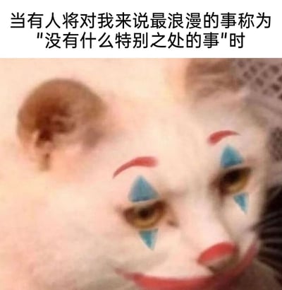 这是一张用于表达情绪的网络梗图，顶部配有文字“当有人将对我来说最浪漫的事称为'没有什么特别之处的事'时”，主体是一只被P上经典小丑妆容的猫咪，猫咪眼神低垂，神情低落，精准地传递出当自己心中珍视的浪漫时刻被他人轻描淡写地否定时，那种不被理解的失落与自嘲感，借助“小丑竟是我自己”的网络梗，将个人的失意情绪以幽默又心酸的方式展现出来。
