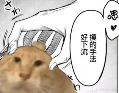 这是一张趣味拼接梗图，将漫画风格的手绘摸头双手与表情恍惚的橘猫照片合成在一起。图中橘猫被双手捧住头部，搭配对白气泡里的文字“摸的手法 好下流”和语气词“嗯”，以拟人化的吐槽方式，用反差感制造搞笑戏谑的效果，没有双关或谐音梗，主打趣味调侃宠物互动的场景。