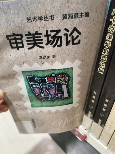 图片展示了一本名为《审美场论》的书籍封面特写，该书属于“艺术学丛书”，由黄海澄主编、袁鼎生著。封面采用米黄色纹理纸张，上方印有丛书名称和主编信息，中央为黑色书名“审美场论”及作者名，下方有一幅抽象风格的彩色插画。书籍被一只手握着，背景可见书架上的其他书籍，如《卢卡奇美学思想论纲》等，整体呈现学术类书籍的质感。
