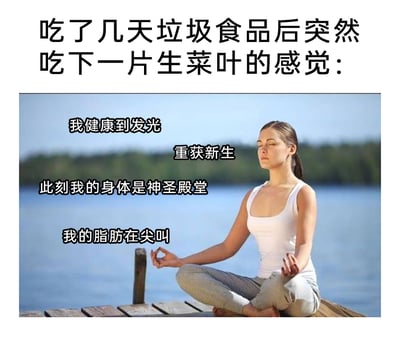 这是一张用于调侃饮食心态的趣味梗图，属于文字加注的静态真人图像。图像上方配有场景说明文字“吃了几天垃圾食品后突然吃下一片生菜叶的感觉：”，下方主体是一位身穿白色背心和灰色长裤的女性，她盘腿坐在湖边的木质码头上，双手做出冥想手势，闭眼神情宁静，营造出身心净化的氛围。围绕该女性的多段文字模拟了此时的内心独白：“我健康到发光”“重获新生”“此刻我的身体是神圣殿堂”“我的脂肪在尖叫”，用极度夸张的表述，放大了人们在连续食用高热量垃圾食品后，仅摄入少量健康食物时那种自我感觉极度良好、仿佛完成重大健康突破的滑稽心理，精准戳中当代年轻人在饮食自律与放纵之间摇摆的心态，极易引发共鸣。