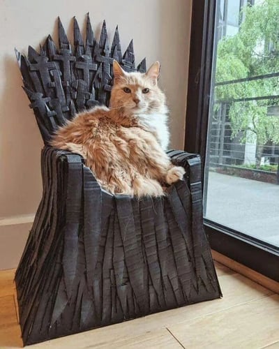 一只橘白相间的猫咪正端坐在一个手工制作的纸板铁王座上，神情平静而威严。王座模仿《权力的游戏》中的经典造型，黑色纸板制成的尖刺靠背极具辨识度。猫咪蓬松的毛发与粗糙的纸板质感形成有趣对比，背景中可以看到窗外的绿色树木，整体画面温馨又充满创意。