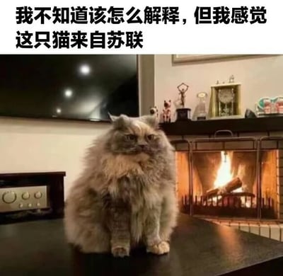 一只毛发蓬松的猫正端坐在壁炉前的桌子上，背景可见黑色电视和摆放着奖杯、相框的木质架子，壁炉内火焰正燃烧。图片上方配有文字：“我不知道该怎么解释，但我感觉这只猫来自苏联”，通过猫咪严肃的神态、复古的室内场景与“苏联”这一具有年代感的地域标签形成幽默反差，赋予普通宠物猫一种神秘的历史氛围。