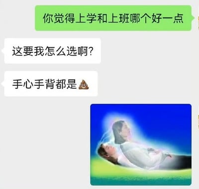 图片展示了一段聊天对话，上方绿色气泡中提问“你觉得上学和上班哪个好一点”，下方白色气泡回复“这要我怎么选啊?”“手心手背都是💩”，用 poop 表情幽默表达两者皆不称心的无奈。对话下方配有一张两人躺在绿色草地上、背景为蓝色天空的图片，画面宁静，与文字中纠结的情绪形成反差萌。