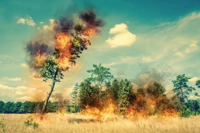 画面呈现出一场正在蔓延的草原林地野火灾害：前景是大片枯黄的干草草原，火势正从草地向后方的林地迅猛推进。左侧一棵倾斜的松树已被大火严重吞噬，树冠部分燃起熊熊烈焰，浓烈的黑烟裹挟着火光翻涌升腾；下方的草地与右侧的林地边缘也被橙红色的火舌覆盖，火焰在干枯植被间肆意燃烧，浓烟在树林中弥漫扩散。背景是成片的深绿色茂密树林，上方是淡青色的天空，点缀着几朵白色云朵，澄澈的天空与下方惨烈的火灾场景形成强烈视觉反差，直观展现出野火的破坏性与危急态势。