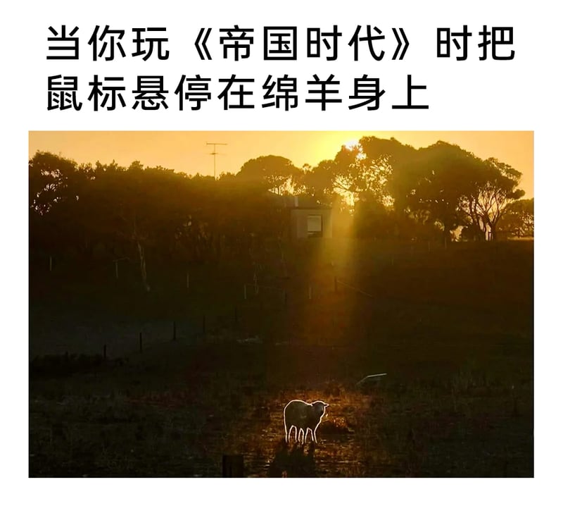 《帝国时代》