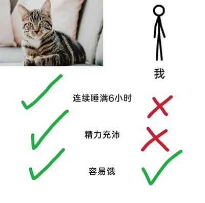 这是一张左右对比的静态图文混排图，左侧展示一只趴在浅色沙发上的虎斑猫，右侧是代表“我”的黑色简笔画小人。图中列出三项状态进行对比：1. 连续睡满6小时：猫对应绿色对勾，表示能做到，“我”对应红色叉号，表示做不到；2. 精力充沛：猫对应绿色对勾，“我”对应红色叉号；3. 容易饿：猫和“我”都对应绿色对勾，表示这是共同的状态。整张图通过幽默的对比，调侃当代人普遍存在的睡眠不足、精力匮乏，但和猫咪一样容易饥饿的生活状态，贴近日常，容易引发共鸣。