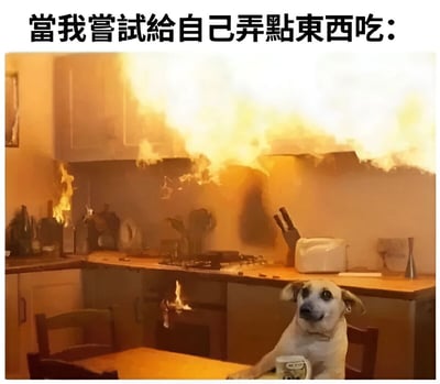 图片上方有文字“當我嘗試給自己弄點東西吃：”，下方是一张合成图：厨房内发生严重火灾，火焰和浓烟弥漫，灶台、橱柜等被火焰吞噬，而一只狗却淡定地坐在餐桌旁，前爪搭在桌上，手里还拿着一个杯子，形成强烈的反差萌，幽默地表现了下厨时手忙脚乱导致厨房“灾难”的场景。