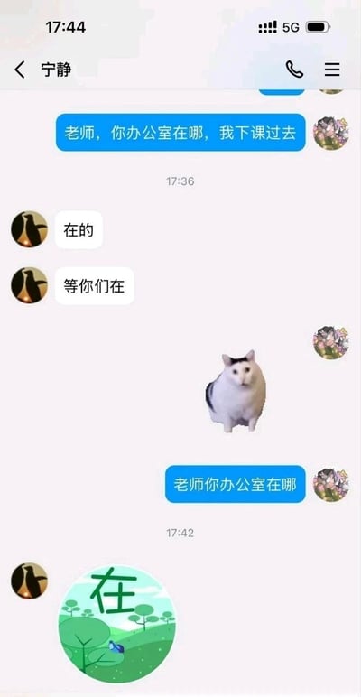 这是一张竖屏的微信聊天记录静态截图，对话发生在学生与名为“宁静”的老师之间。学生先后两次向老师询问办公室位置，第一次提问后，老师回复“在的”“等你们在”，未回应位置问题；学生发送了一个表情疑惑的猫猫表情包后再次提问，老师则回复了一个带有“在”字的风景表情包，全程未提供办公室位置信息，形成了信息错位的趣味聊天场景，展现了沟通中的乌龙状况。