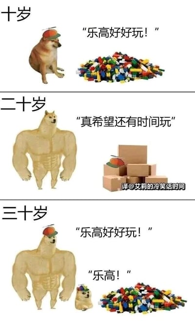 这是一张竖版的三格连环梗图，以Doge柴犬的衍生形象为核心，展现了人生三个不同阶段对乐高玩具的态度变化：第一格为十岁的普通柴犬，戴着小帽子，正开心地看着面前的乐高积木堆，配文“乐高好好玩！”，还原了童年时期无忧无虑、能尽情享受玩具乐趣的状态；第二格是二十岁的肌肉柴犬，面前摆放着代表工作与生活压力的纸箱，配文“真希望还有时间玩”，精准刻画了青年阶段被现实事务占据精力，无奈搁置爱好的怅然；第三格是三十岁的肌肉柴犬与一只小柴犬，二者一同看着面前的乐高积木，配文“乐高好好玩！”“乐高！”，表现人到中年后，有了足够的能力与时间重拾童年爱好，同时肌肉柴犬与小柴犬的组合，也暗喻着自己成为了能守护这份童心的“大人”，找回了最初的快乐。