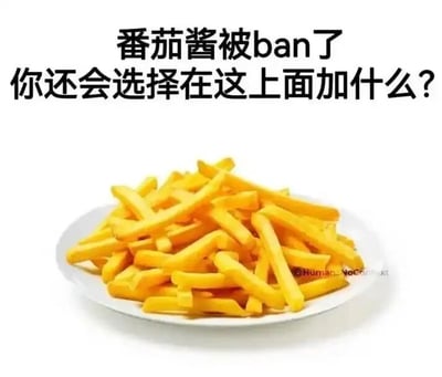 这是一张顶配底文的静态单图，画面主体是一盘盛放在白色盘子里的黄色薯条，薯条色泽金黄，摆放自然，背景为纯净的白色。图片上方用黑色字体标注了提问文字“番茄酱被ban了 你还会选择在这上面加什么？”，这里的“ban”是英文“禁用、禁止”的意思，即假设不能用番茄酱搭配薯条，询问观看者会选择什么替代蘸料。对于这个问题，常见的替代蘸料有甜辣酱、黄芥末酱、芝士酱、千岛酱，甚至一些中式酱料如老干妈、腐乳也能成为独特的搭配选择。图片右下角带有浅色水印“@Human_NoContext”，整体内容围绕日常快餐食物的蘸料选择展开趣味提问，旨在引发网友的讨论和互动，没有双关、谐音梗或暗示内容。