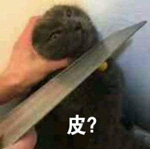 猫咪被刀架脖疑惑'皮?'