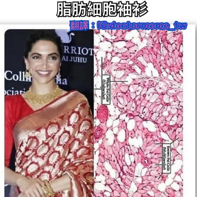 这是一张左右对比图，左侧是一位女性穿着带有独特花纹的红色纱丽，面带微笑；右侧是脂肪细胞的显微图像，标注了"White Fat Cells (Unilocular)"和"Brown Fat Cells (Multilocular)"。图片通过视觉相似性制造幽默效果，将女性纱丽上的花纹与脂肪细胞的显微镜图像进行对比，标题"脂肪细胞袖衫"点出了这种有趣的相似之处。