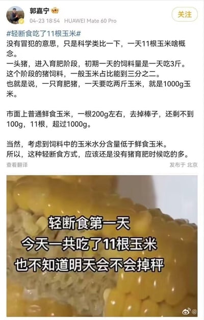 这是微博用户郭嘉宁发布的一条调侃类科普内容，针对网络上“轻断食第一天吃11根玉米”的减肥方式，博主用科学类比的方式计算育肥猪初期每日摄入的玉米量：育肥猪初期一天吃3斤饲料，其中玉米占三分之二，即1000g玉米；而11根鲜食玉米去掉棒芯后重量超1000g，但考虑到饲料玉米水分更低，得出这种轻断食的玉米摄入量其实还不如育肥猪吃的多的结论。下方配图是带有文字的玉米特写图，文字内容为“轻断食第一天 今天一共吃了11根玉米 也不知道明天会不会掉秤”，调侃这种看似“断食”的减肥方式实际摄入并不少。
