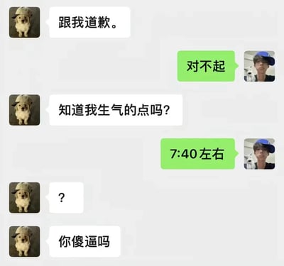 这是一张模拟聊天记录的搞笑梗图，左侧以戴帽子的狗狗为头像，右侧以戴蓝帽的人（手持白色小狗）为头像。对话流程为：狗狗要求道歉，人类回复“对不起”；狗狗追问生气的原因，人类却答非所问地回复“7:40左右”，导致狗狗发出问号并怒斥“你傻逼吗”。整体场景通过夸张的对话展现了沟通中的典型误会，充满幽默效果。