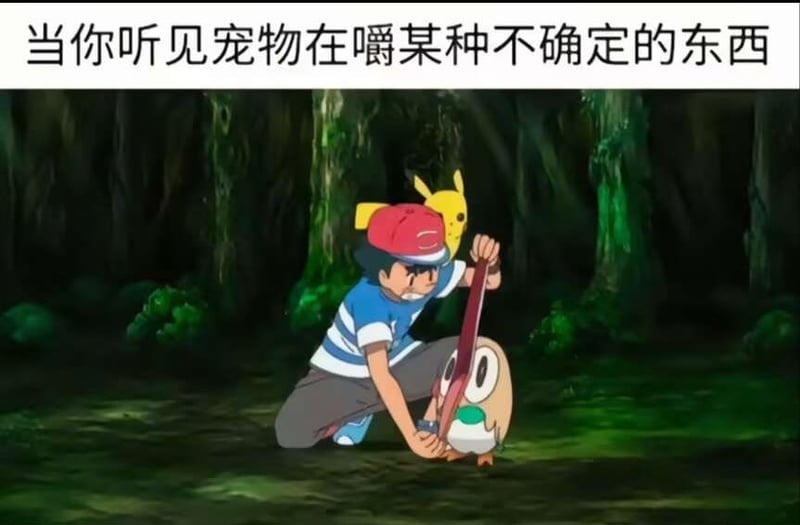 小智