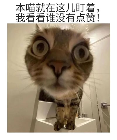图片上方有一行黑色文字："本喵就在这儿盯着，我看看谁没有点赞！"。下方是一只站在白色洗手台上的猫，它有着异常瞪大的眼睛，表情看起来既惊讶又专注地盯着前方。猫的毛色是棕色和黑色相间的虎斑纹，背景是浅色的浴室墙壁和门。这张图片通过猫夸张的表情和文字内容，以幽默的方式请求观众点赞。
