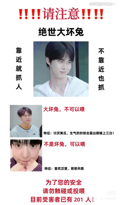 这是一张小红书风格的幽默警告梗图，标题为“!!!!请注意!!!! 绝世大坏兔”。图片采用多图拼接形式，上方为主要警告文字“靠近就抓人 不靠近也抓”，中间和下方分别展示不同人物照片并配文：“大坏兔，不可以喂”（特征：讨厌黄瓜，生气时露眼睛上三白）和“不是坏兔，可以喂”（特征：喜欢汉堡，萌萌吊眼）。底部文字强调“为了您的安全 请勿触碰或投喂 目前受害者已有201人！”，整体以调侃语气模仿动物警告标识，营造搞笑效果。