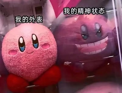 图片展示了两个卡比毛绒玩具的左右对比。左侧是粉色可爱的卡比，有着大大的蓝色眼睛和微笑的表情，上方配有文字“我的外表”；右侧是紫色的卡比，有着邪魅的笑容和锐利的眼神，上方配有文字“我的精神状态”。这张梗图通过可爱外表与崩坏内心的强烈反差，幽默地表达了人们外表与内在精神状态不一致的现象。